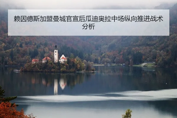 赖因德斯加盟曼城官宣后瓜迪奥拉中场纵向推进战术分析