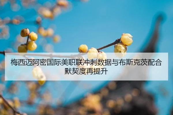 mei-xi-mai-a-mi-guo-ji-mei-zhi-lian-chong-ci-shu-ju-yu-bu-si-ke-ci-pei-he-mo-qi-du-zai-ti-sheng-2-633.jpg