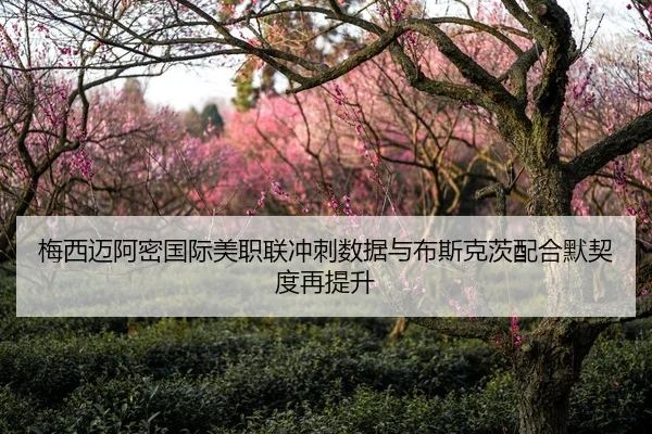 梅西迈阿密国际美职联冲刺数据与布斯克茨配合默契度再提升
