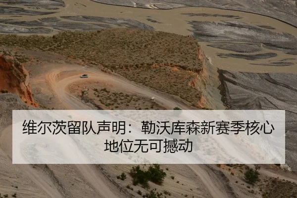 维尔茨留队声明：勒沃库森新赛季核心地位无可撼动