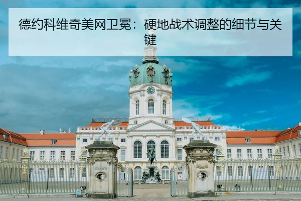 de-yue-ke-wei-qi-mei-wang-wei-mian-ying-di-zhan-shu-tiao-zheng-de-xi-jie-yu-guan-jian-3-226.jpg