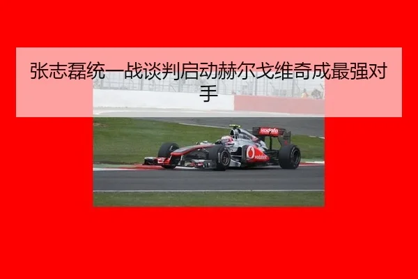 张志磊统一战谈判启动赫尔戈维奇成最强对手
